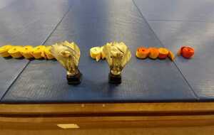 Remises des grades avant Noël !