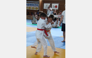 18 juin : belle journée judo à Villedieu !