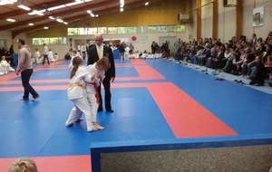 5283bb4d2ed50_2013111016.25.03.jpg