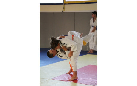 Fin du planning de reprise